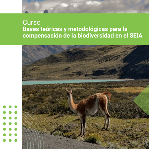 Normativa Ambiental Aplicable en el SEIA